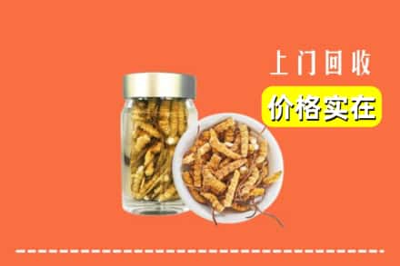 诚信求购:毕节市金沙高价回收散虫草